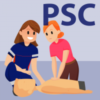 Toulouse psc secourisme